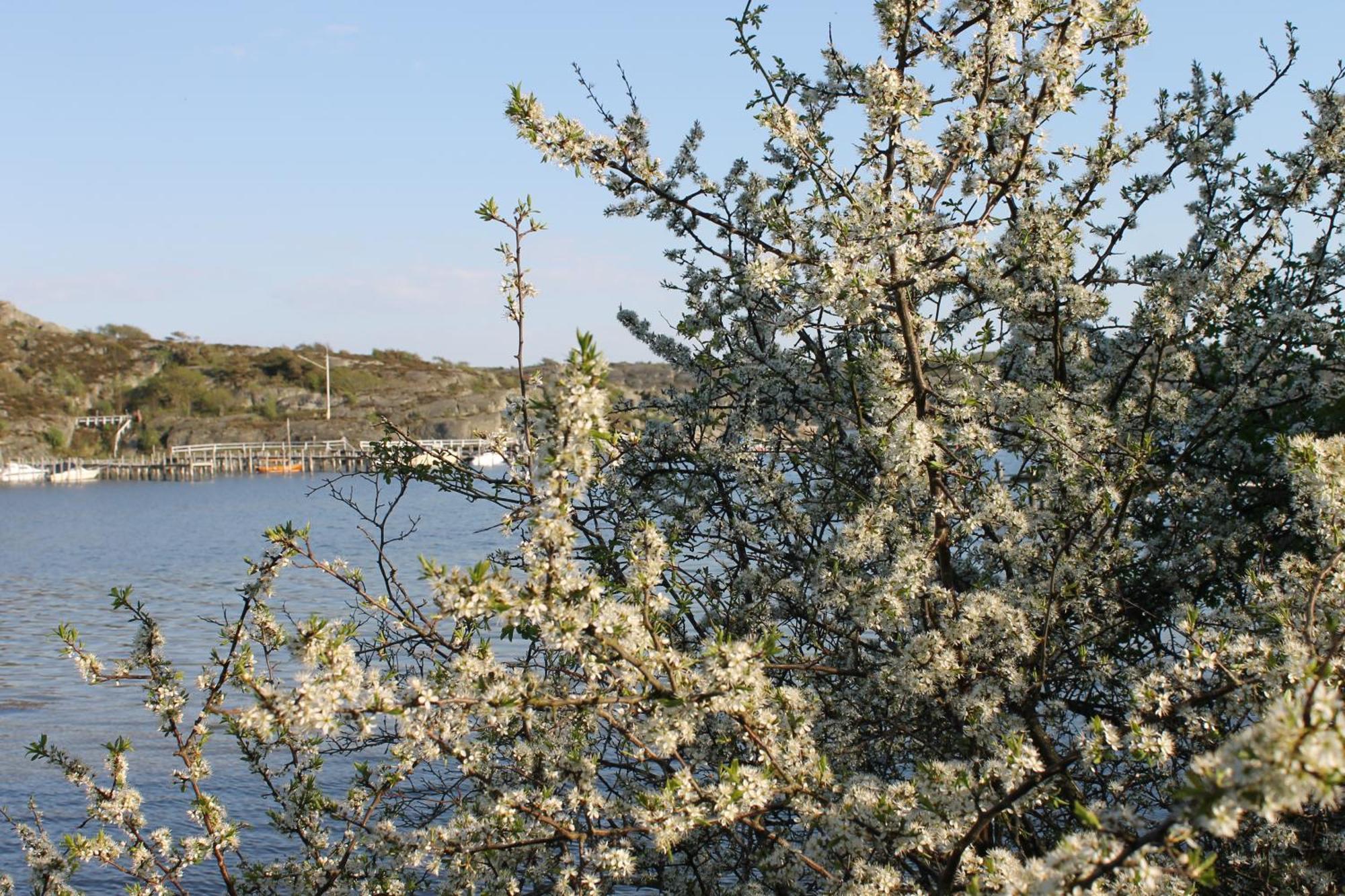 Tofta Herrgard Lycke Luaran gambar